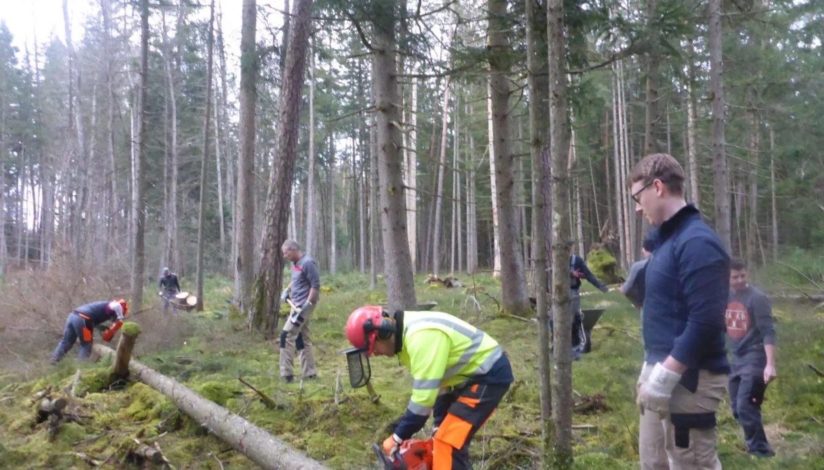 Holzmachen | © DAV Laufen
