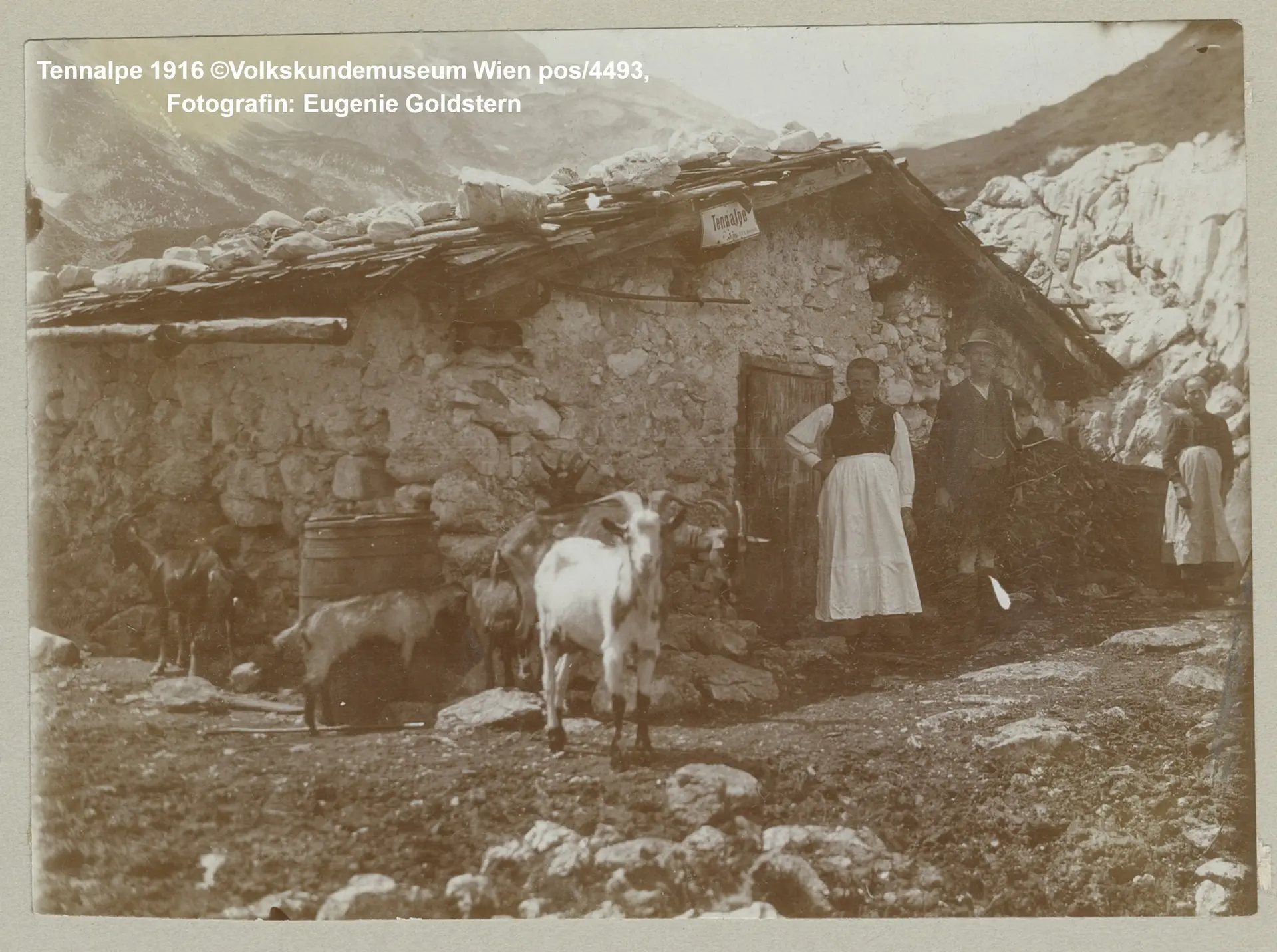 Tennalpe 1916 | © Fotografin: Eugenie Goldstern