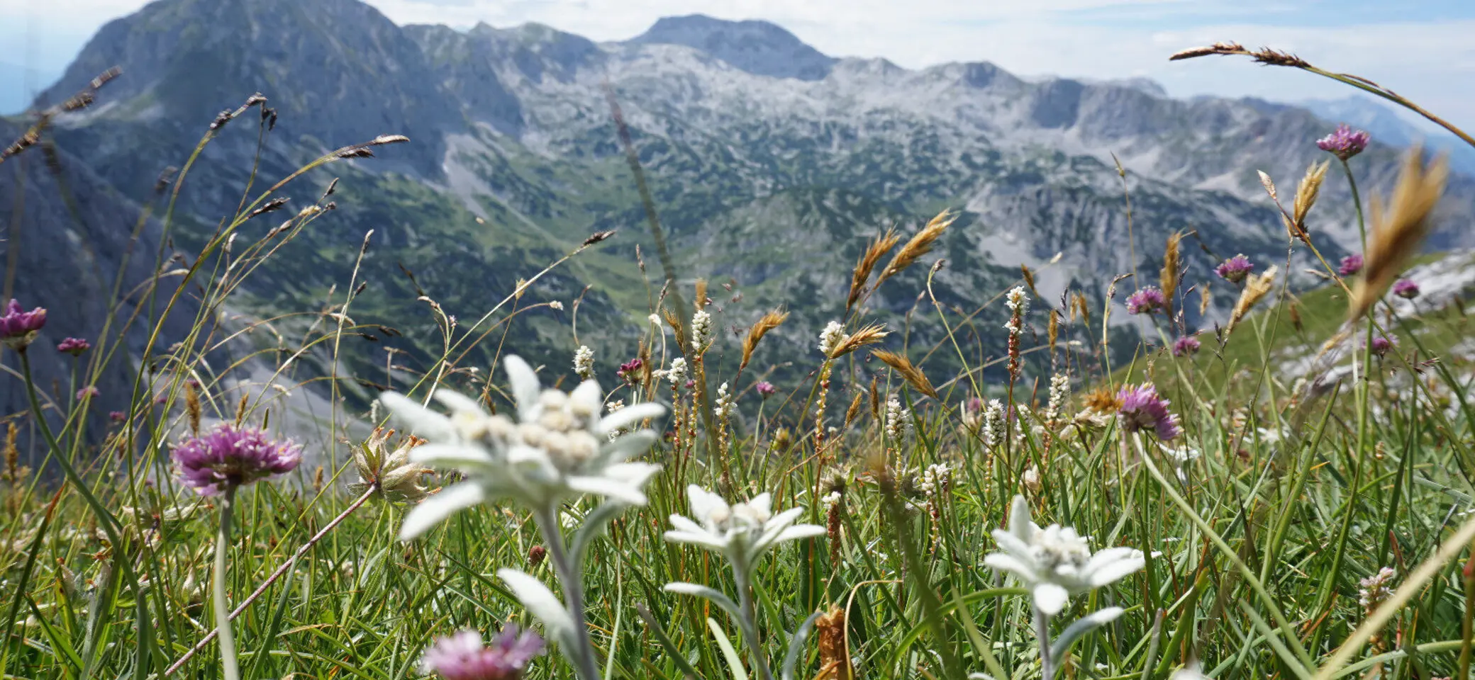 Tennengebirge | © DAV Laufen
