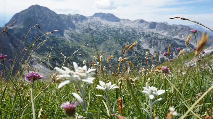 Tennengebirge | © DAV Laufen
