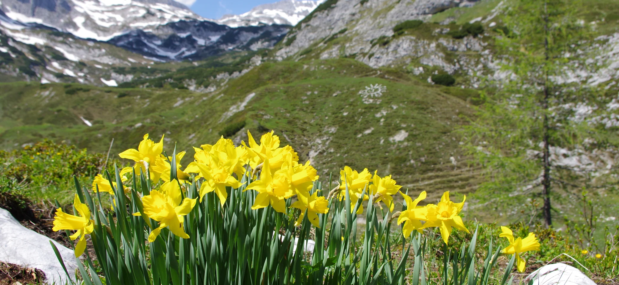 Tennengebirge | © DAV Laufen