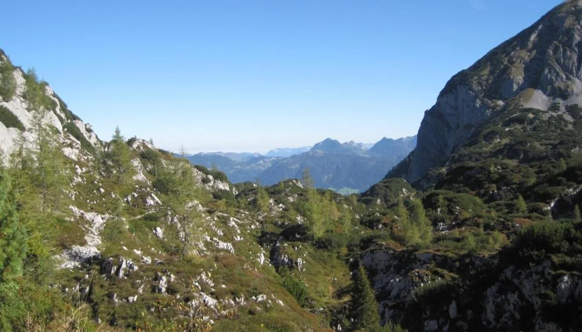 DAV Laufen | © DAV Laufen