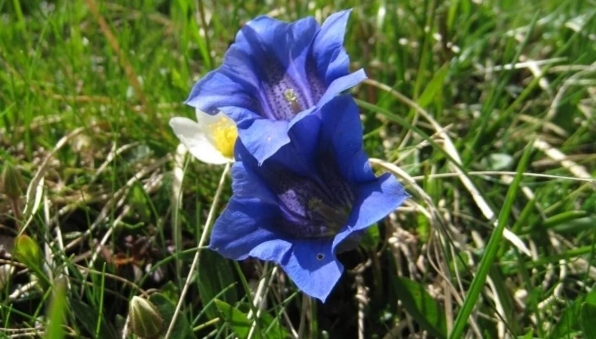 DAV Laufen | © DAV Laufen