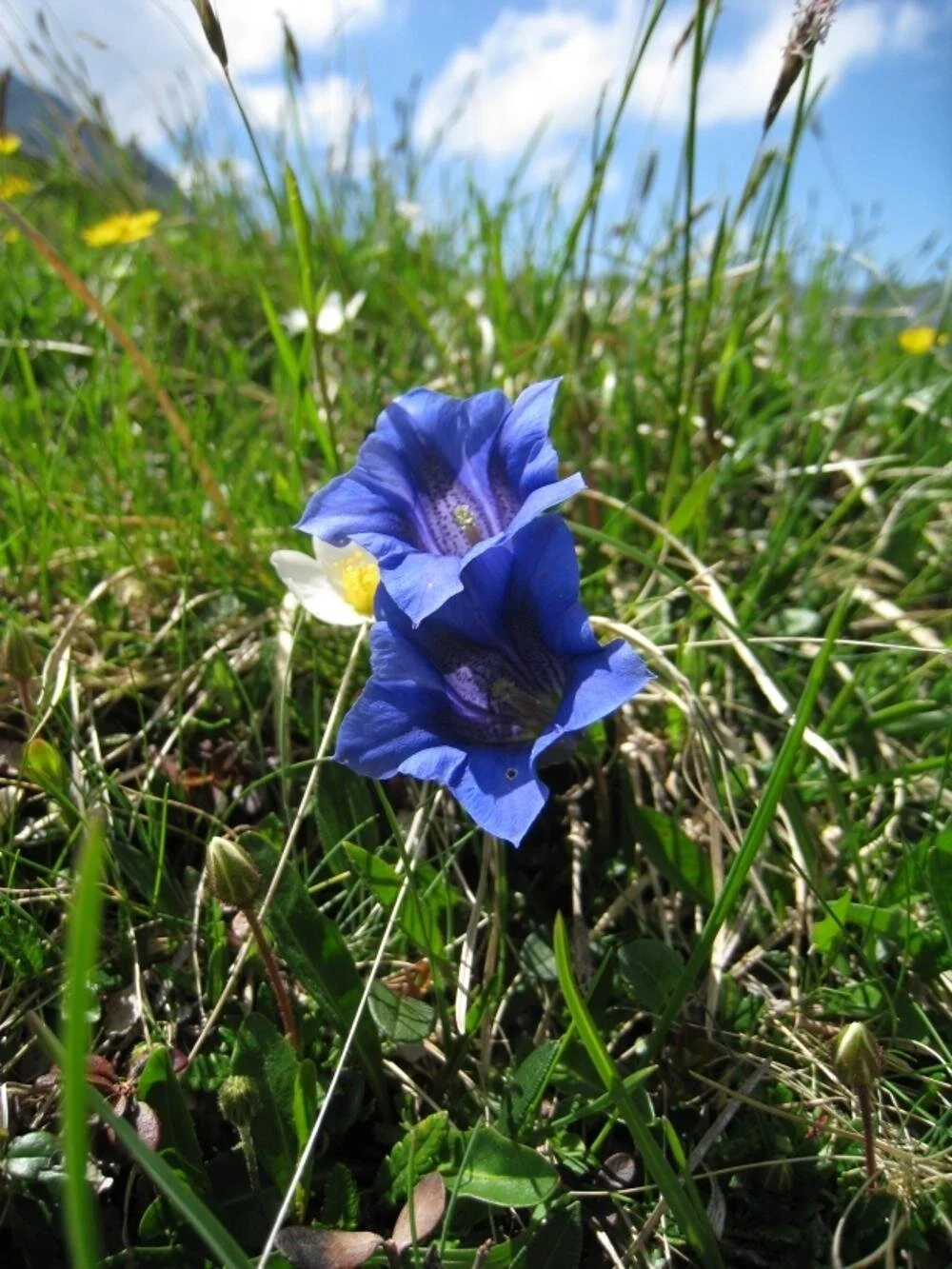 DAV Laufen | © DAV Laufen