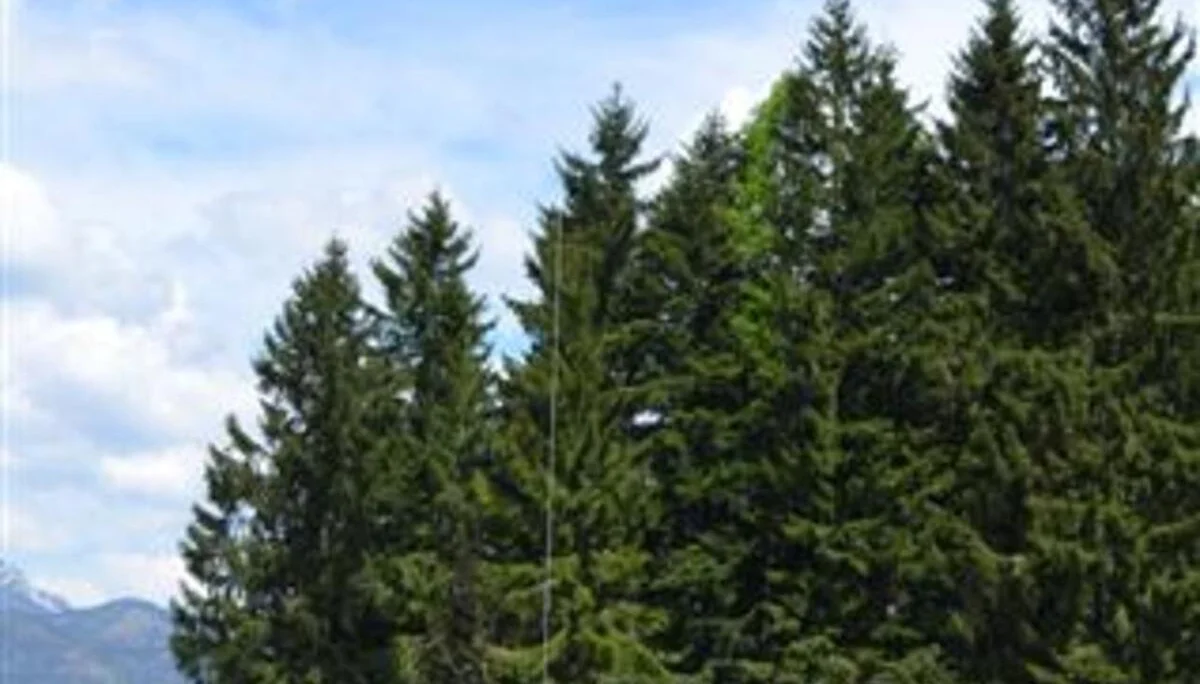 DAV Laufen | © DAV Laufen