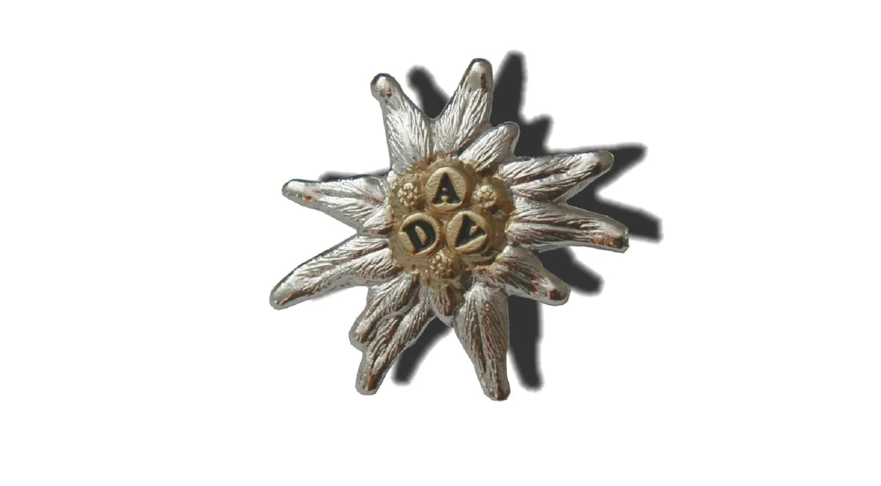 Edelweiss | © DAV Laufen