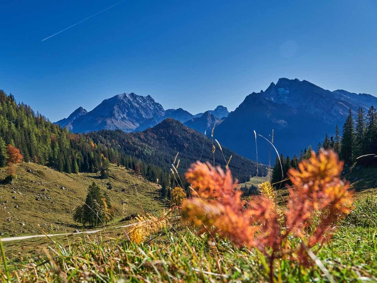 Watzmann | © DAV Laufen Watzmann | © DAV Laufen