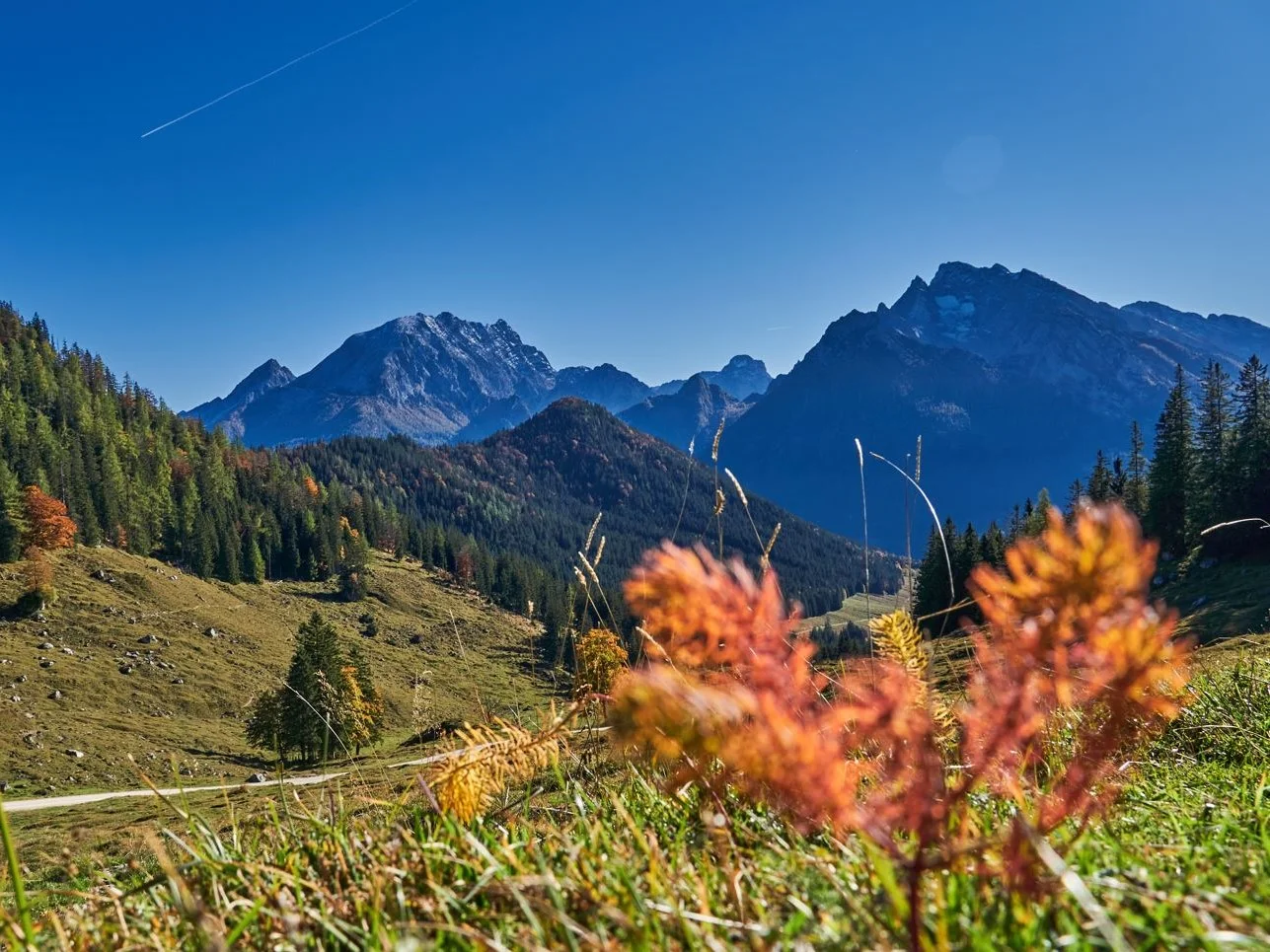 Watzmann | © DAV Laufen Watzmann | © DAV Laufen