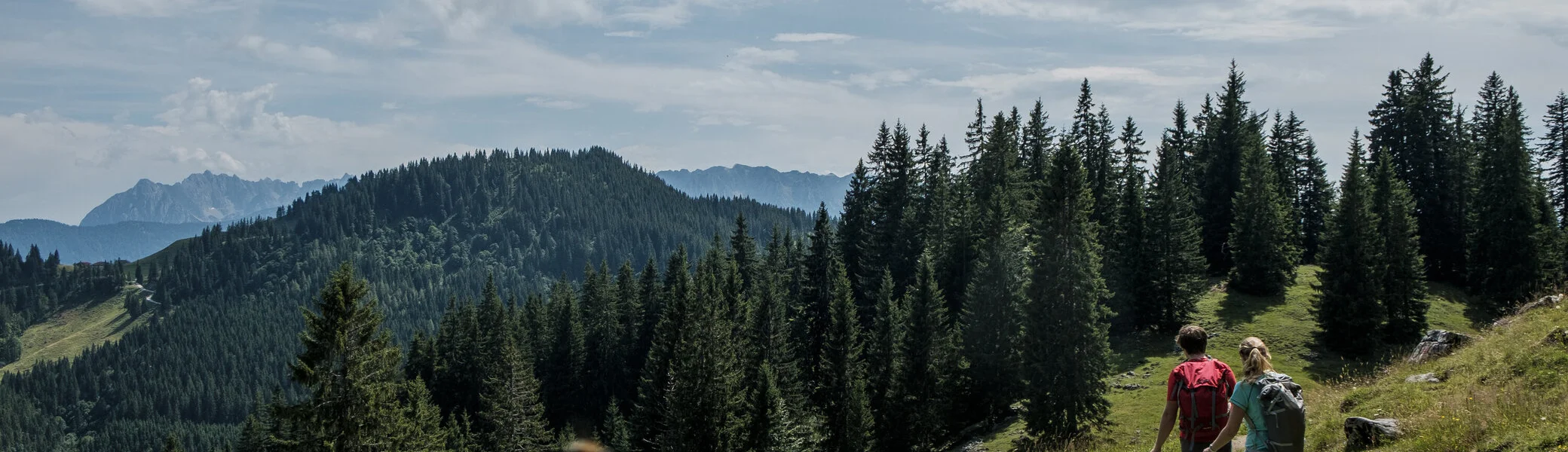 Zwei Wanderer auf einem Bergpfad in den Chiemgauer Alpen | © DAV/Hans Herbig